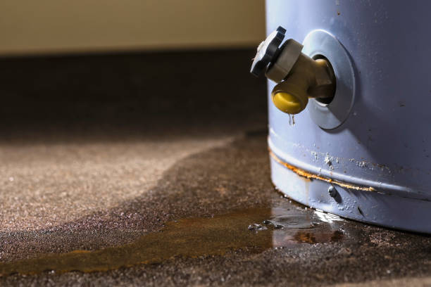 Best Water damage cleanup near me  in Marion, NC