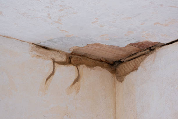 Best Ceiling water damage repair  in Marion, NC