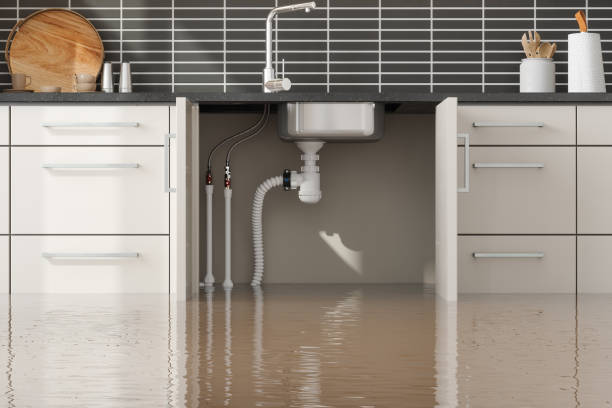Best Fire Damage Restoration  in Marion, NC
