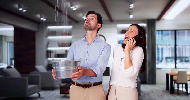 Best Professional water damage repair  in Marion, NC